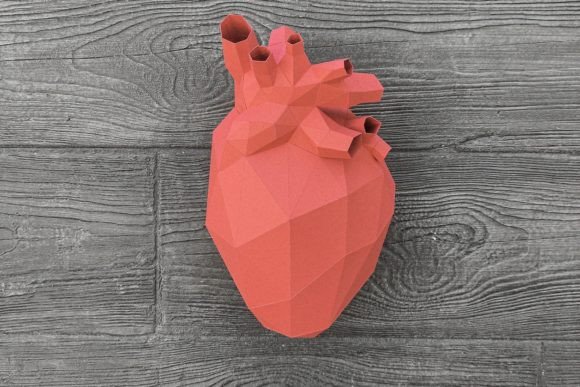 Human Heart 3D Paper Sculpture