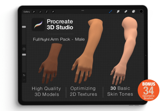 Procreate 3D Model - Right Arm Male